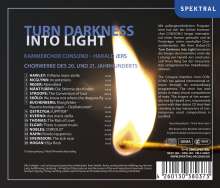 Kammerchor Consono - Turn Darkness Into Light, CD