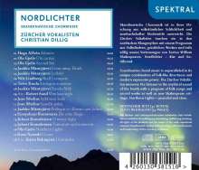 Zürcher Vokalisten - Nordlichter, CD