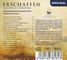 Regensburger Domspatzen - Erschaffen, CD