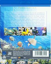 Faszination Korallenriff (3D Blu-ray), Blu-ray Disc