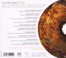 Roma - Sonaten &amp; Kammerkonzerte, CD