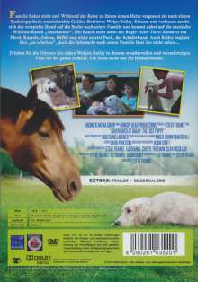 Bailey - Ein Welpe zum Verlieben, DVD