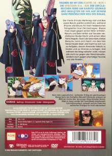 Naruto Shippuden Staffel 14 Box 1, 3 DVDs
