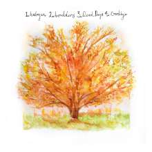 Lucas Laufen: Goodbye, CD