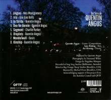 Quentin Angus: In Stride, CD