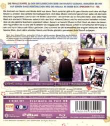 Naruto Shippuden Staffel 26 (Blu-ray), 2 Blu-ray Discs