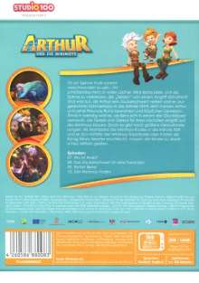 Arthur und die Minimoys DVD 3, DVD