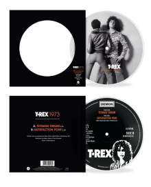T.Rex (Tyrannosaurus Rex): Teenage Dream / Satisfaction Pony (Picture Disc) (Limited Edition), Single 7"