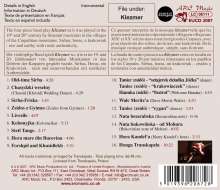 Transkapela: Klezmer Carpathian Music, CD