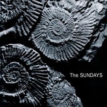 Text: "The SUNDAYS". Fossile Ammoniten in grauen Gesteinsschichten sichtbar.