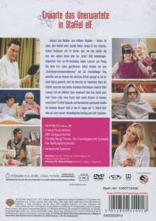 The Big Bang Theory Staffel 11, 2 DVDs