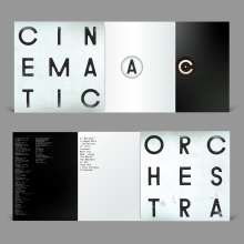 The Cinematic Orchestra: To Believe (180g), 2 LPs