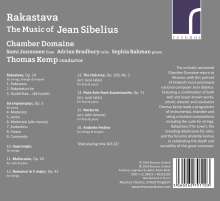 Jean Sibelius (1865-1957): Instrumentawerke &amp; Kammermusik, CD