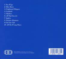 Bear's Den: Blue Hours, CD