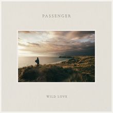 Text: "PASSENGER", "WILD LOVE". Eine Person steht auf einer Klippe, blickt aufs Meer bei Sonnenuntergang.
