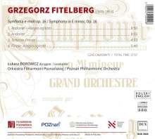 Grzegorz Fitelberg (1879-1953): Symphonie e-moll op.16, CD
