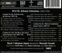 Johann Sebastian Bach (1685-1750): Kantaten Vol.18 (BIS-Edition), CD