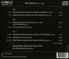Max Reger (1873-1916): Orchesterwerke, 3 CDs