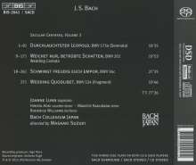 Johann Sebastian Bach (1685-1750): Weltliche Kantaten Vol.3, Super Audio CD