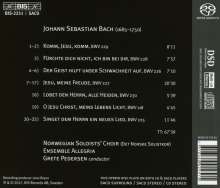 Johann Sebastian Bach (1685-1750): Motetten BWV 118,225-230, Super Audio CD