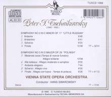 Peter Iljitsch Tschaikowsky (1840-1893): Symphonien Nr.2 &amp; 3, CD