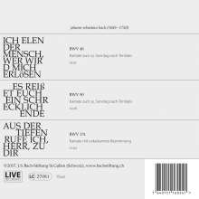 Johann Sebastian Bach (1685-1750): Bach-Kantaten-Edition der Bach-Stiftung St.Gallen - CD 19, CD