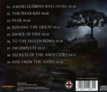 Visionatica: Enigma Fire, CD