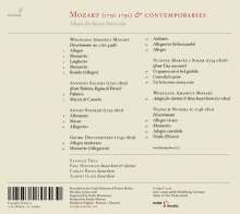 Stadler Trio - Mozart &amp; Contemporaries, CD