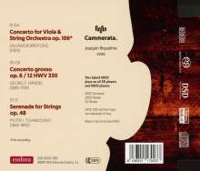 Salvador Brotons (geb. 1959): Konzert für Viola &amp; Streichorchester op.106, Super Audio CD