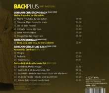 Johann Christoph Bach (1642-1703): Hochzeitskantate "Meine Freundin, du bist schön", CD