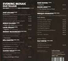 Duo Telluur - Evening Mosaic, CD