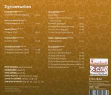 Kammermusik mit Piccolo-Flöte "Zigeunerweisen", CD