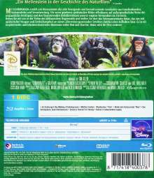 Schimpansen (Blu-ray), Blu-ray Disc