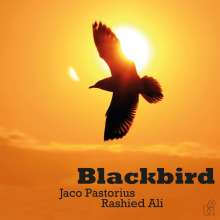 Jaco Pastorius &amp; Rashid Ali: Blackbird (180g) (Limited Numbered Edition) (Translucent Yellow Vinyl), LP
