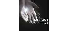 Taproot: Gift (180g) (Limited Numbered Edition) (Crystal Clear Vinyl), LP
