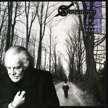 Logo "SANCTUARY" oben rechts. Text: "INTO THE MIRROR BLACK". Ein älterer Mann in einem Wald; eine Person geht weg.