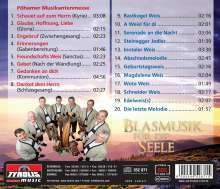 Hippacher Musikanten: Blasmusik für die Seele, CD