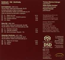 Karl Goldmark (1830-1915): Klaviertrio op.33, Super Audio CD