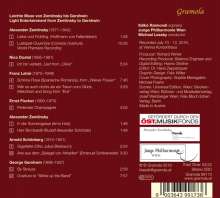 Ildiko Raimondi - Leichte Muse von Zemlinsky bis Gershwin, CD