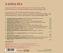 Georg Arnold (1621-1676): Motetten &amp; Instrumentalmusik - "O Anima mea", CD