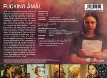 Fucking Åmål (Blu-ray im Mediabook), Blu-ray Disc