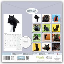 „Plastic-Free Packaging“. Ein Kalender mit Bildern schwarzer Katzen für jeden Monat.