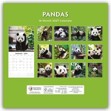 PANDAS 16-Month 2027 Calendar. Zeigt Pandas in verschiedenen Posen, umgeben von grünem Hintergrund. Kalenderblatt Januar.