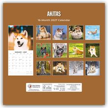 „AKITAS“, „16-Month 2027 Calendar“. Verschiedene Fotos von Akita-Hunden, inklusive Monatsübersicht Januar 2027.