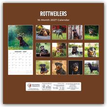 "ROTTWEILERS 16-Month 2027 Calendar.” Verschiedene Bilder von Rottweilern in einer Collage, Kalenderblatt Januar 2027 links.
