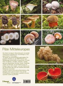 Titel: "Pilze Mitteleuropas". Text beschreibt ein Werk zur Bestimmung von 3800 Pilzarten mit Fotos und Zeichnungen. Enthält Bilder von verschiedenen Pilzen in einer natürlichen Umgebung.