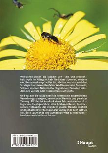 Wildbienen sind fleißig, kämpfen aber ums Überleben. Gefährdet durch Hornissen und Parasiten, reagieren sie mit ausgeklügelten Strategien. Oben Nahaufnahme einer Biene auf gelber Blume. Links unten ISBN-Code. Unten rechts kleines Logo „Haupt NATUR“.