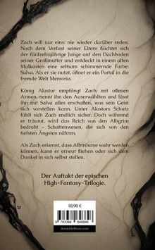 Der Text beschreibt den Anfang einer epischen High-Fantasy-Trilogie über Zach, der ein magisches Portal entdeckt.