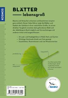 Meike Bosch: Bäume am Blatt erkennen - 78 Laub- und Nadelgehölze. Blätter in Originalgröße, Buch