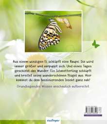Valérie Tracqui: Meine große Tierbibliothek: Der Schmetterling, Buch